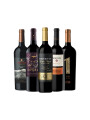 Pack Bacán Selección El origen del carácter - Malbec Profundo x5 vinos Pack Bacán Selección El origen del carácter - Malbec Profundo x5 vinos