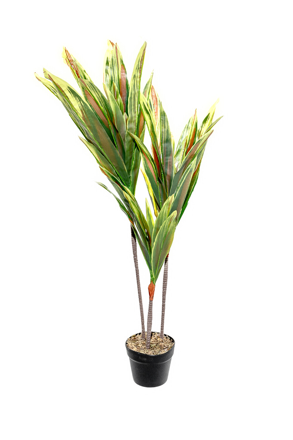 Planta Dracaena 100cm Color Unico