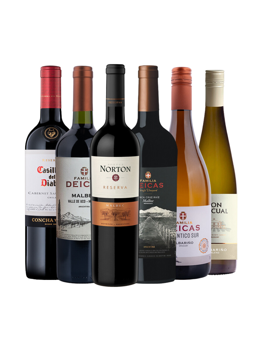 Pack Selección Farewell to Frost x6 vinos - Los más elegidos del invierno 2025 Pack Selección Farewell to Frost x6 vinos - Los más elegidos del invierno 2025