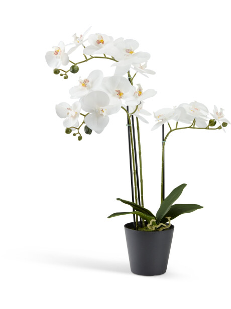 Planta artificial MATINUS A62cm flores Planta artificial MATINUS A62cm flores