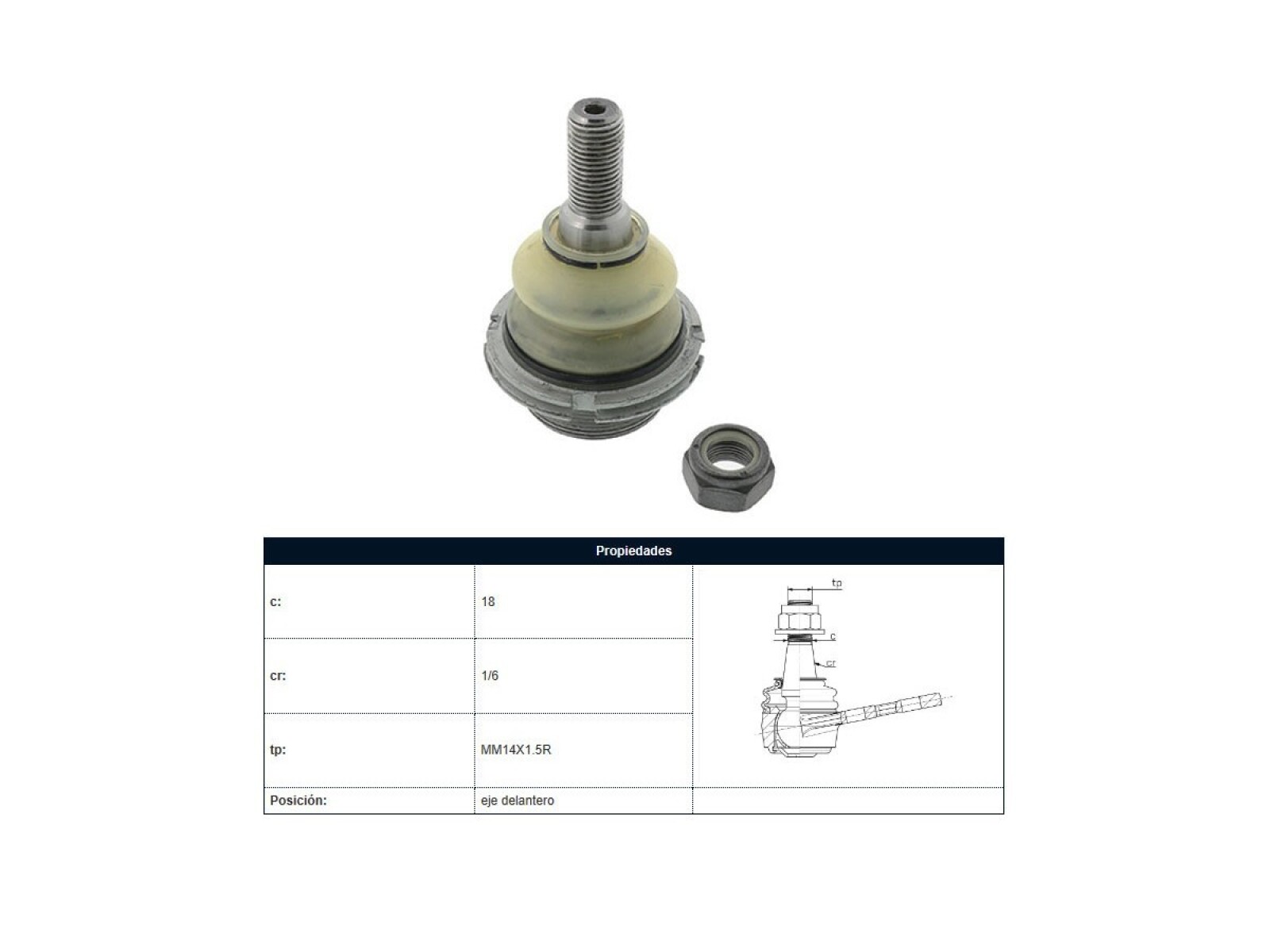 Rotula Del Peug 407 04-25 Der/Izq 