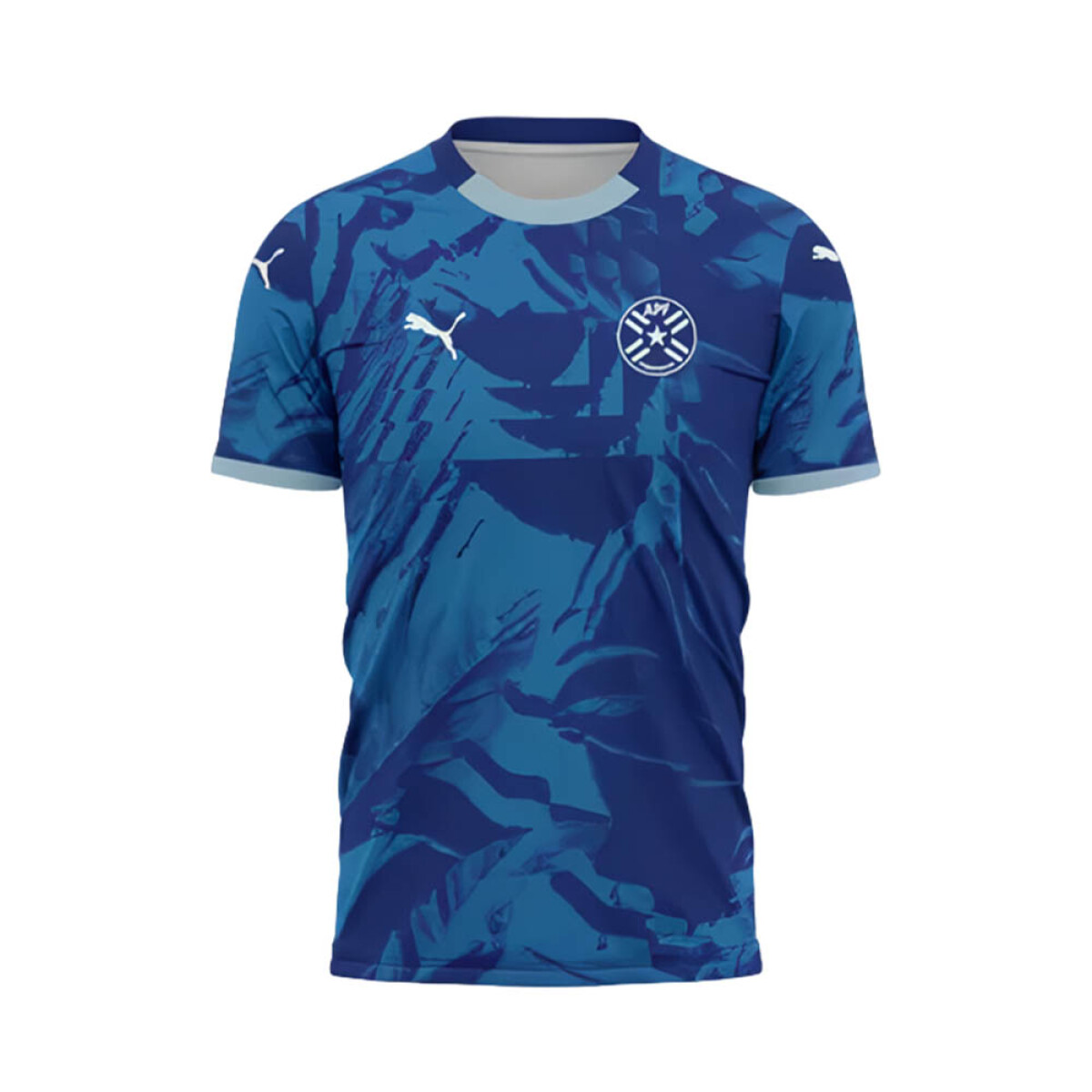 Remera Puma Alternativa Paraguay Away 773064AV01 
