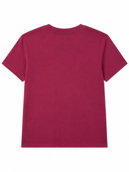 REMERA DENA VARIANTE 3