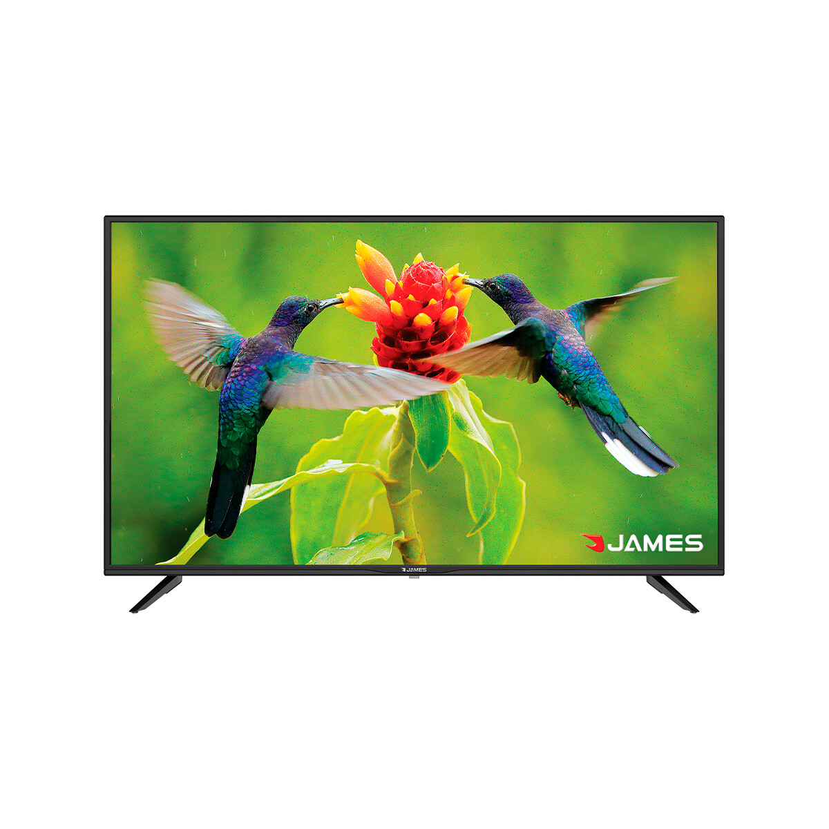 Smart TV James 43'' Full HD LED Sistema Operativo VIDAA 