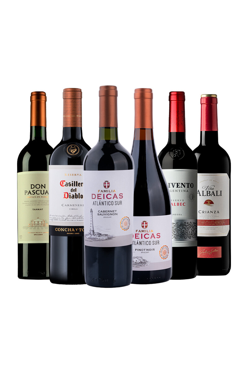 Pack Bacán Selección Everyday x6 vinos 