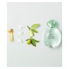 Perfume Giorgio Armani Acqua Di Gioia EDP 100ml Perfume Giorgio Armani Acqua Di Gioia EDP 100ml
