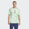 Camiseta Adidas Selección Femenina Italia 25 Verde