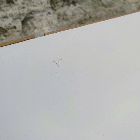 [OUTLET] Cómoda Cajonera para Dormitorio de 4 Cajones y 1 Puerta en MDP - Blanco [MUEBLE ARMADO SOLO RETIRO] [OUTLET] Cómoda Cajonera para Dormitorio de 4 Cajones y 1 Puerta en MDP - Blanco [MUEBLE ARMADO SOLO RETIRO]