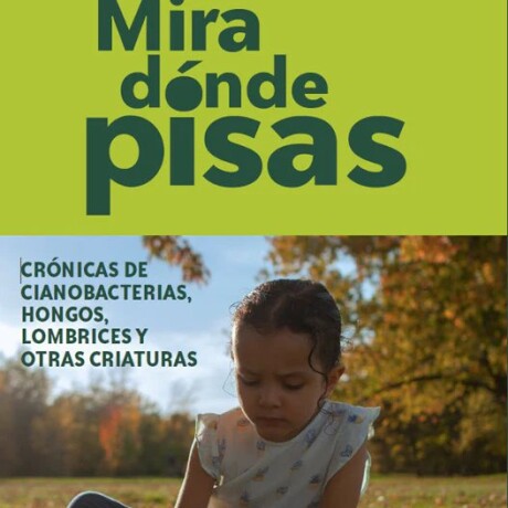 MIRA DONDE PISAS MIRA DONDE PISAS