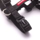 Arnes H de paseo Cachorreiros Black Talle S-P