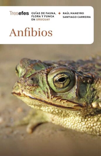 Anfibios Anfibios