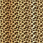 Tanga Cola Less Con Aro Metálico Animal Print