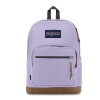 Mochila Portalaptop Right Pack Pastel Lilac