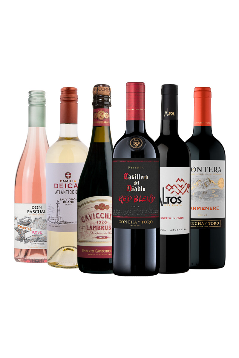 Pack Bacán Selección Entre Estilos x6 vinos Cruce de Estilos 
