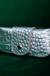 Estuche Lentes Crocco Plateado