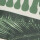 CAMISETA CON ESTAMPA VERDE