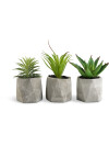 Planta artificial TORGEIR Ø8xA17cm var Planta artificial TORGEIR Ø8xA17cm var
