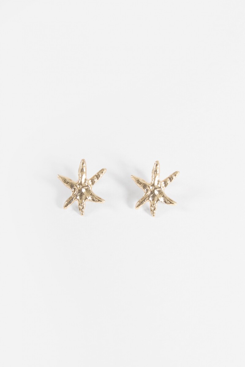 Caravanas clip estrellas dorado