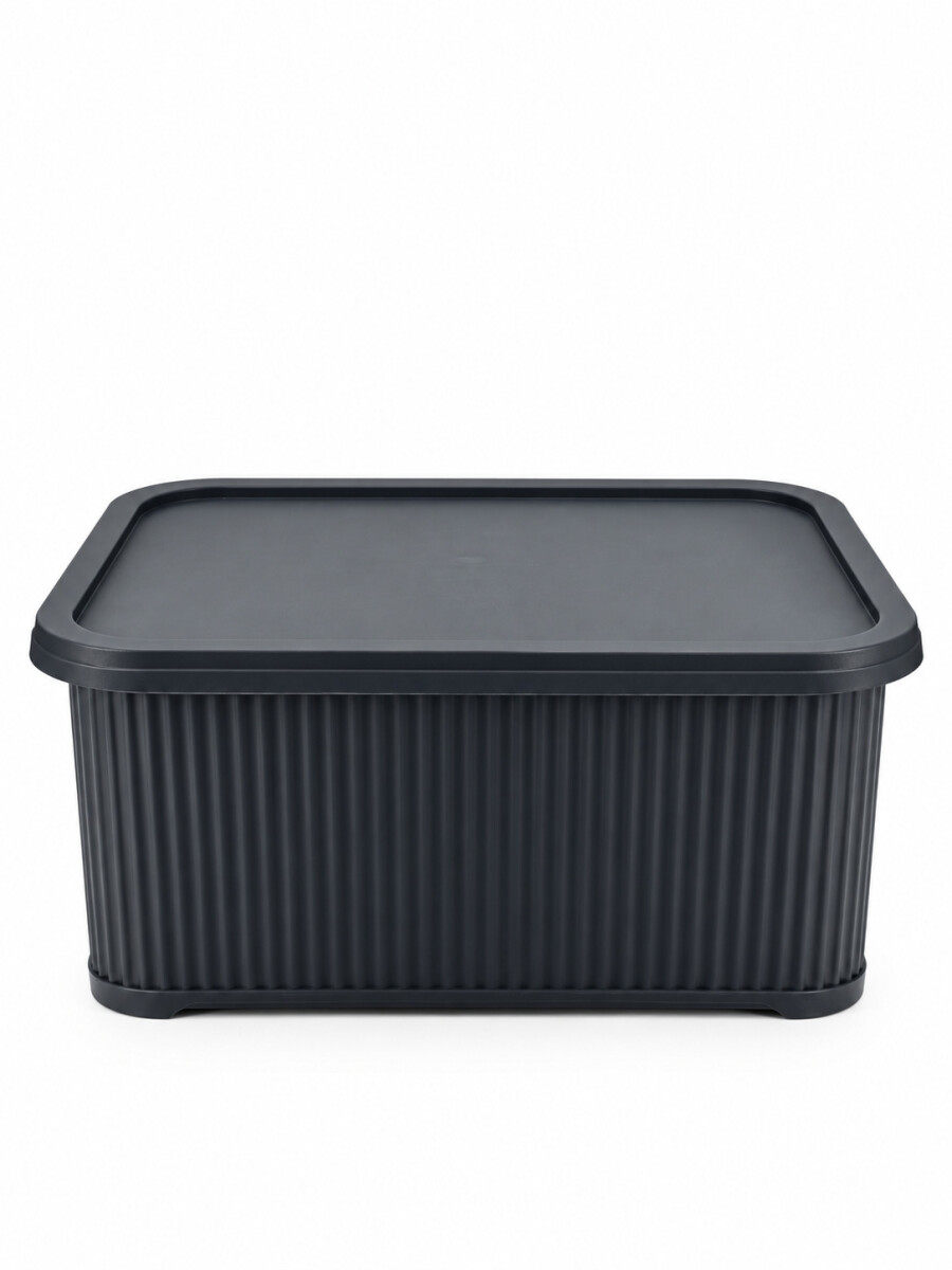 CAJA ORGANIZADORA C/ TAPA - NEGRO. 