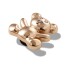 Gold Teddy Bear Multicolor