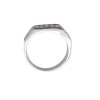 Anillo Dos Líneas-Plata 925-Con Zirconia-AN4610 conpiedra