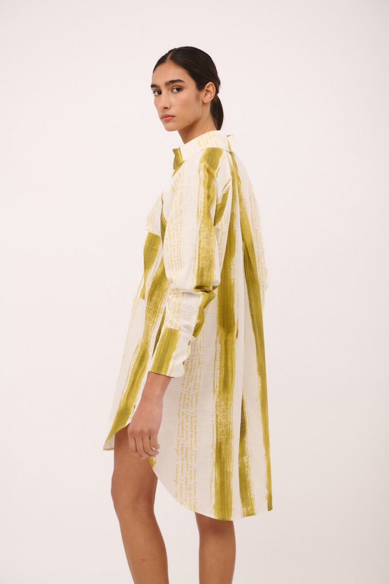 CAMISA RAGLAN MEN PRINT Rayas Pistacho