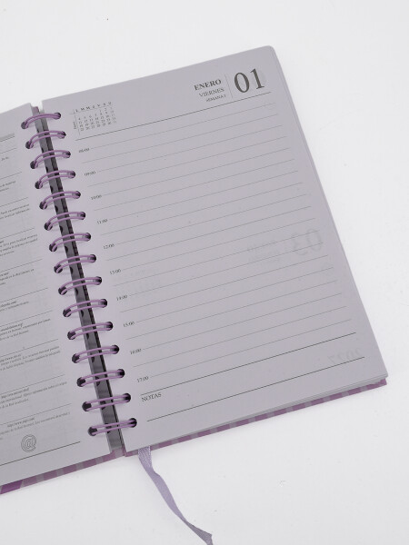 AGENDA RAYAS ROSA 2027 ROSADO