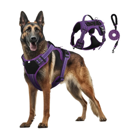 Arnés y Correa Para Perro Reflectivo Ajustable Reforzado Lila