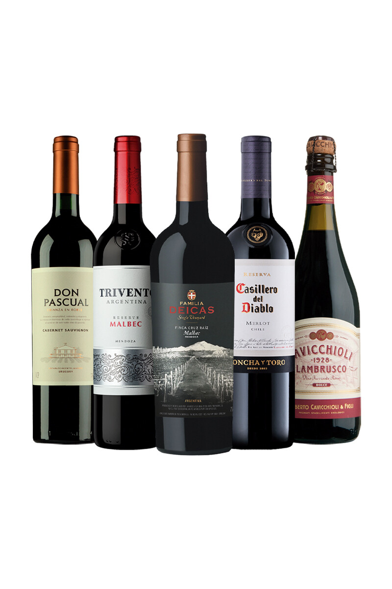 Pack Bacán Entre Sabores x5 vinos Sinfonía de Sabores 