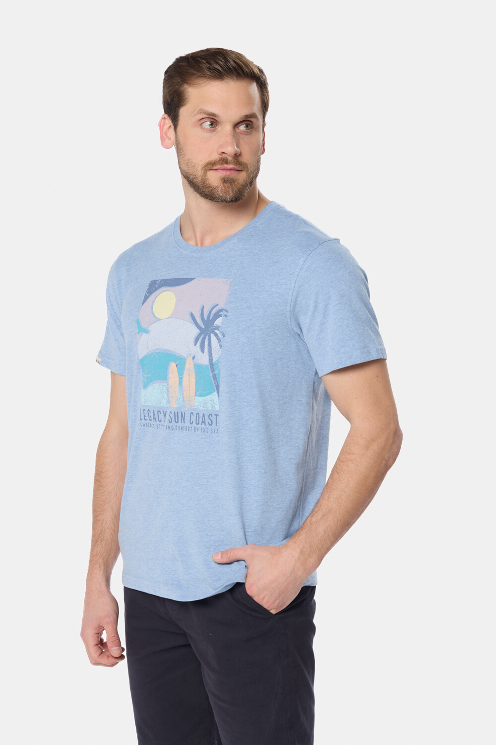 REMERA ESTAMPADA Azul