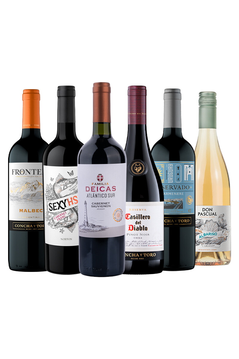 Pack Bacán Selección En su salsa x6 vinos 
