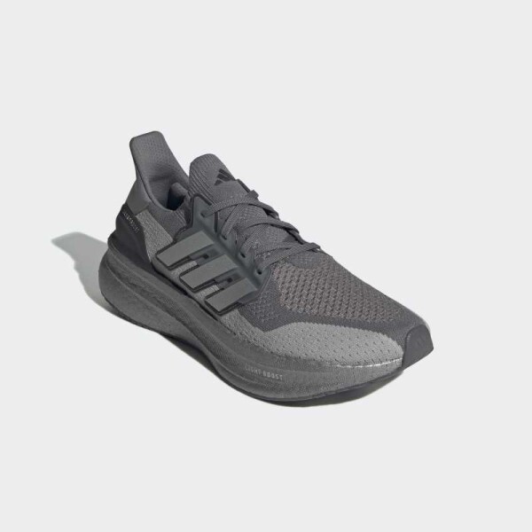 Championes Adidas Ultraboost 5 Gris