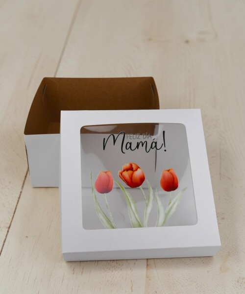 Caja flexi 20x20x9,5. c/visor impreso - diseño surtidos Caja flexi 20x20x9,5. c/visor impreso - diseño surtidos