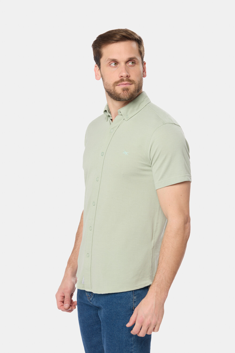 CAMISA LISA EN PIQUE Verde