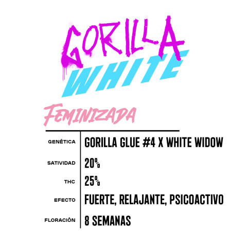 FEM - WHITE GORILLA X2 UNIDADES