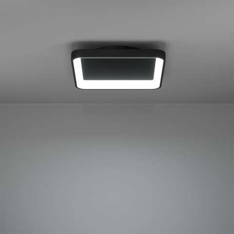 Plafón negro LED 12W blanco dinámico LORETELLO EG1228