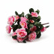 Ramo de Flores Fucsia