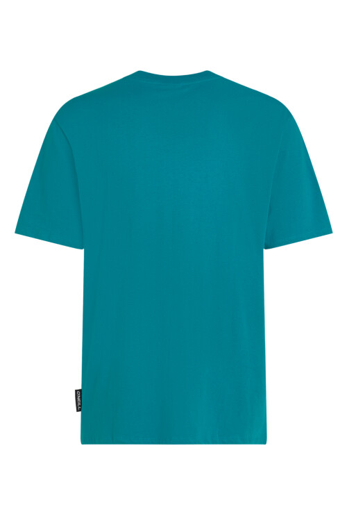 Remera O'Neill California Bloom - Celeste