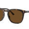 Rayban 2210 Havana Polarizado