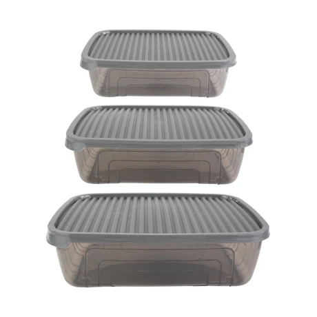 Set de 3 recipientes plasticos Herevin Set de 3 recipientes plasticos Herevin