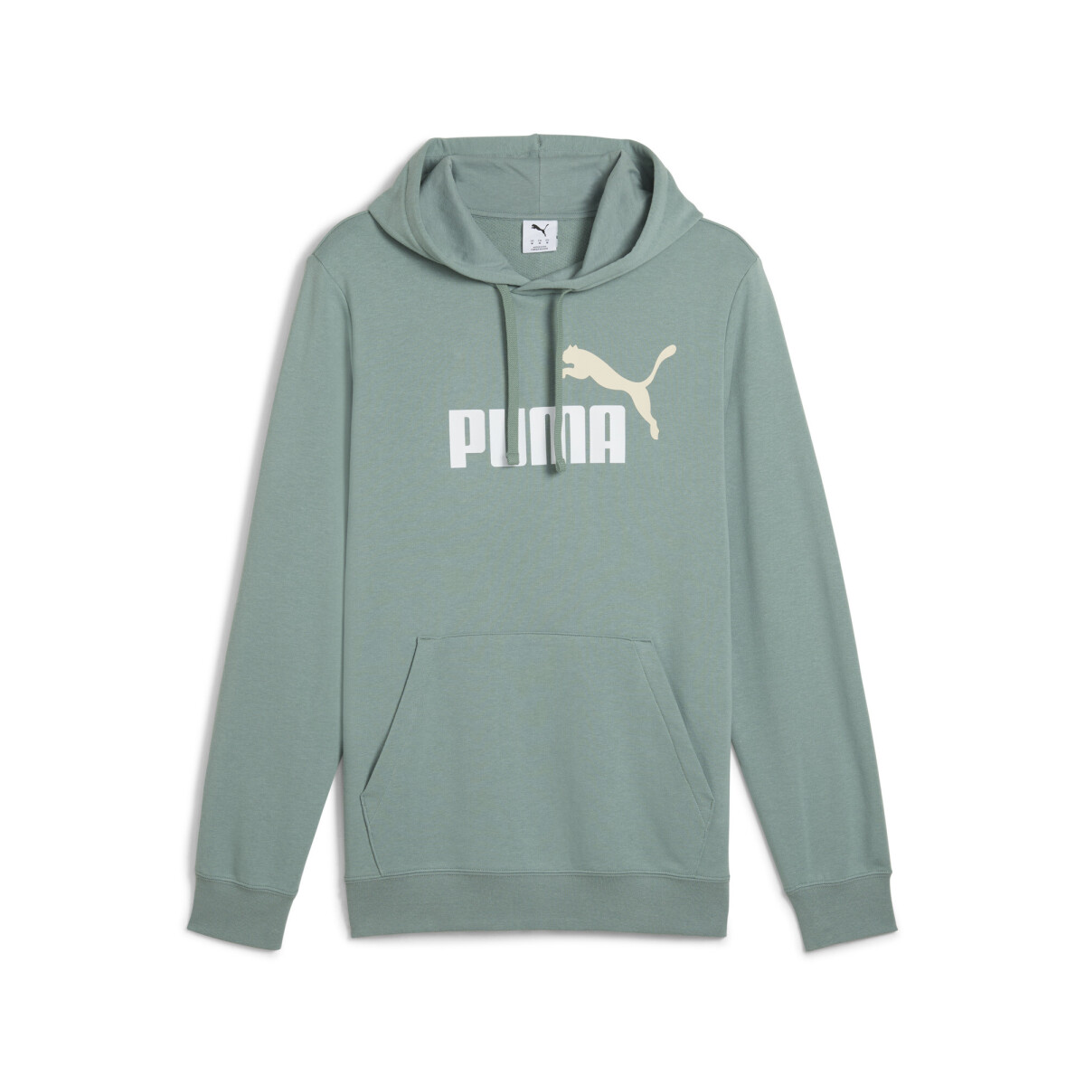ESS 2 COLOR Bş1 Logo Hoodie TR 68471230 - Verde 