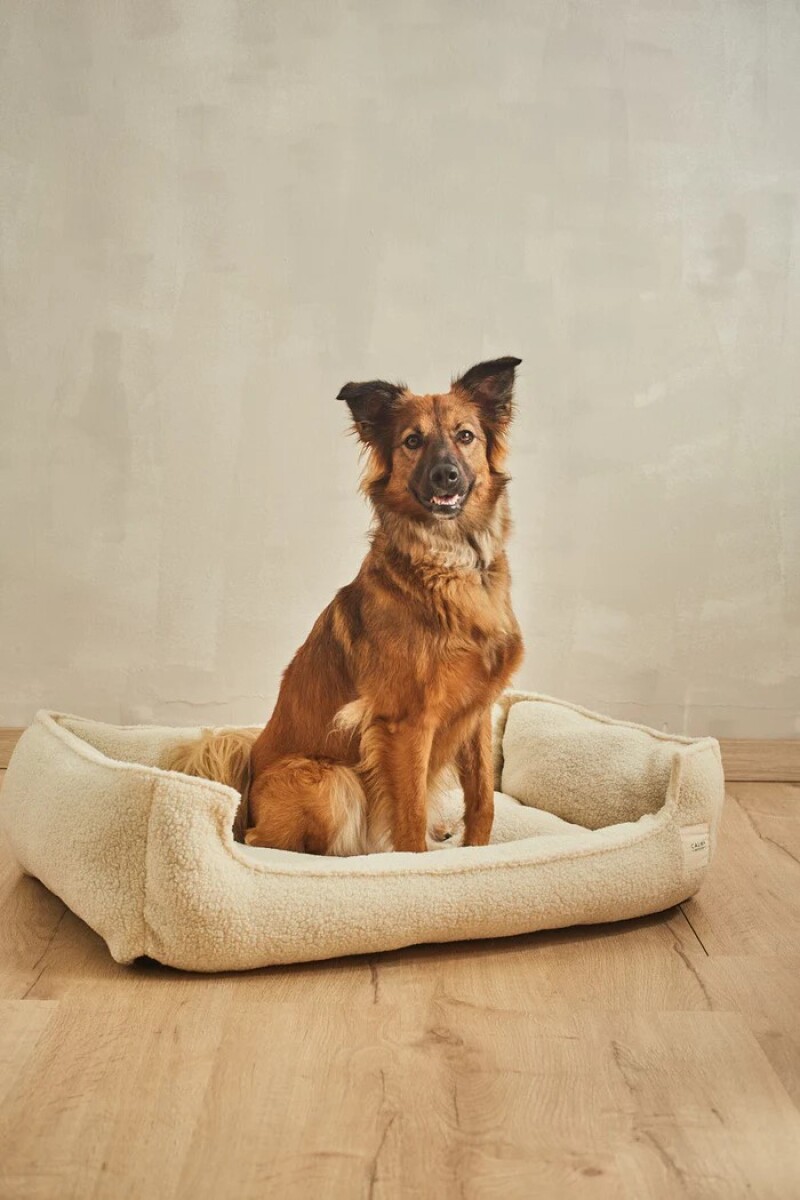 Cama para Mascotas - Beige 
