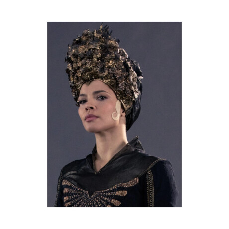 Seraphina Picquery • Fantastic Beast - 06 Seraphina Picquery • Fantastic Beast - 06