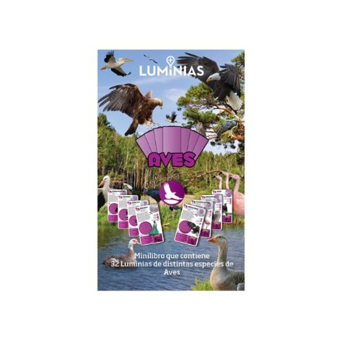 Luminias Enciclopedia De Animales - Aves 