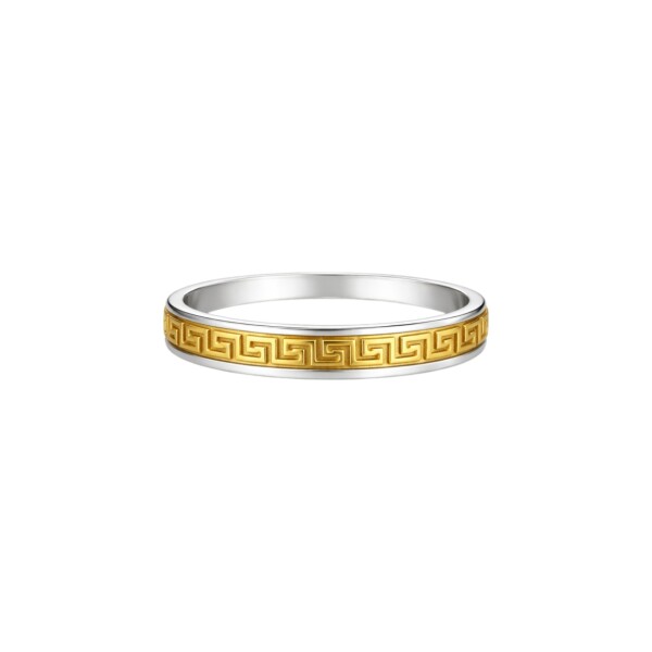 Anillo cinta griega - Plata y Oro - sin piedra - AN5995 sinpiedra
