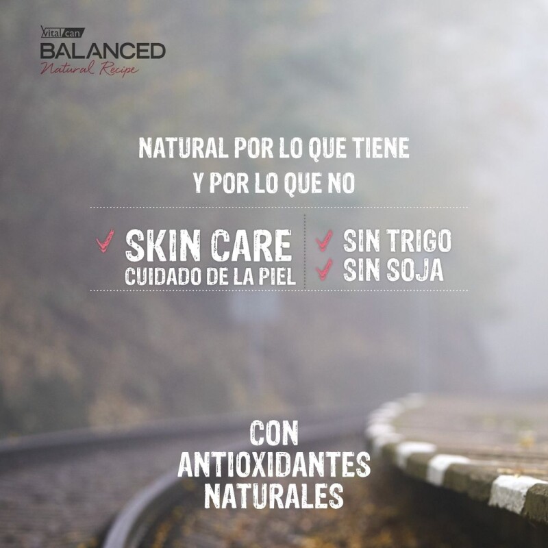 VITALCAN BALANCED EXCLUSIVE PERROS ADULTOS CERDO 15KG MÁS 3K DE REGALO