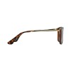 Lentes de Sol Bloom polarizados y protección UV PL246 C3