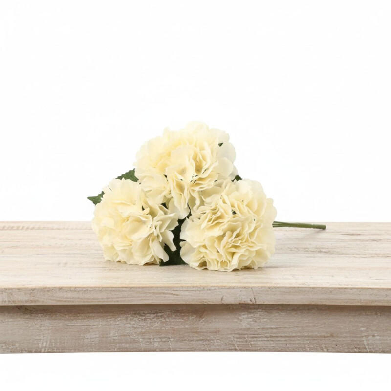 Ramo de 5 Hortensias Biege