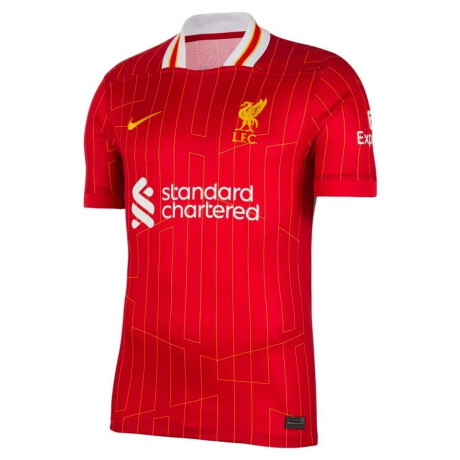 Remera Liverpool Fc 2024/25 Stadium Camiseta Oficial de Hombre Rojo