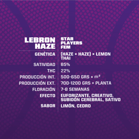 FEM - LEBRON HAZE X12 UNIDADES